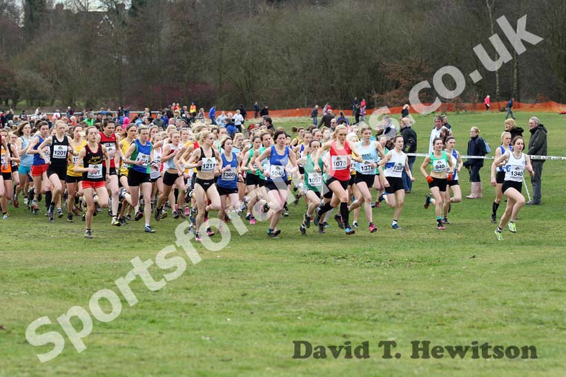 Senior Womens start, McCain Inter Counties Cross Country, Cofton Park, Birmingham.
